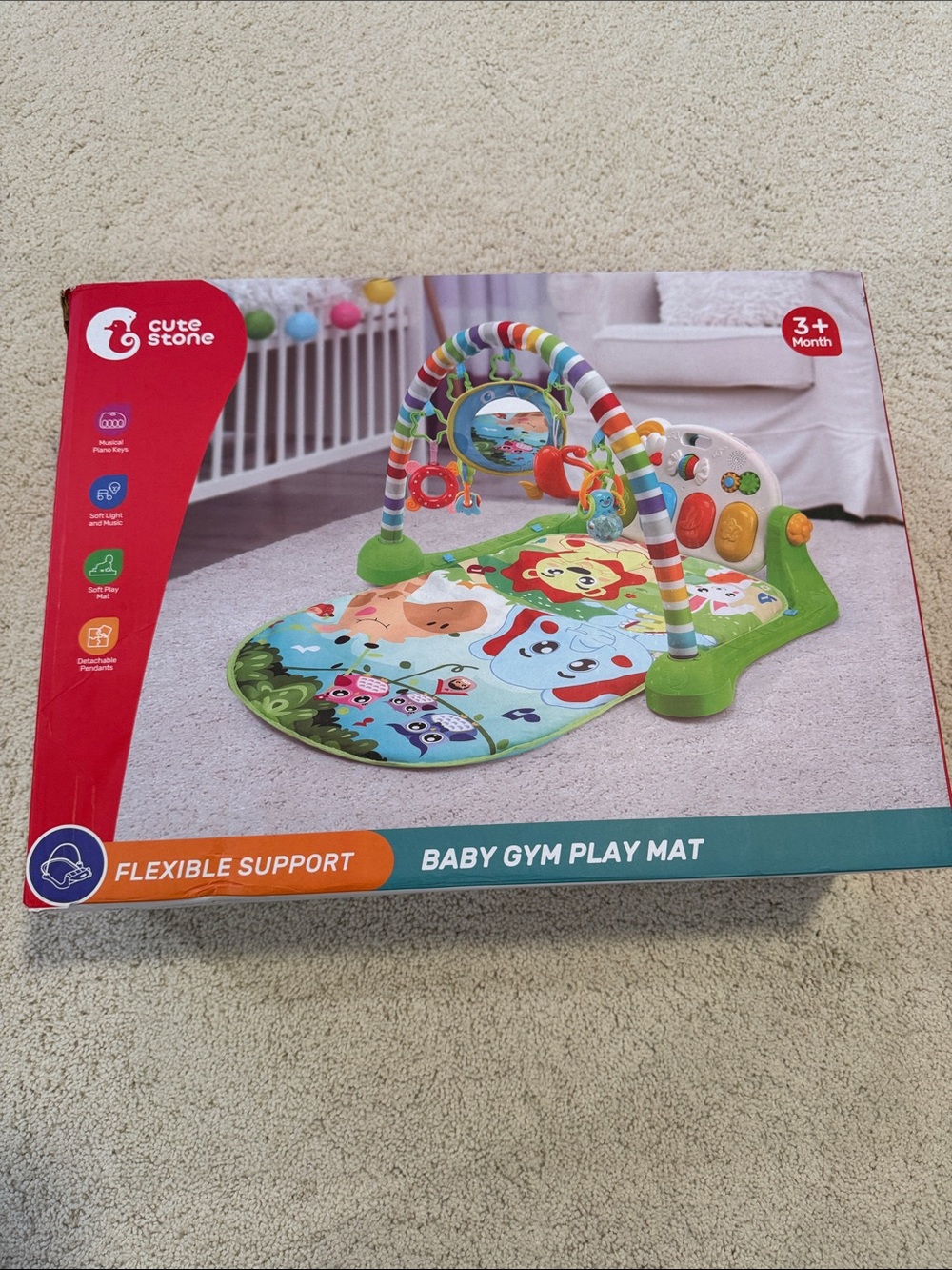 Baby Gym Play Mat with Colorful Arch